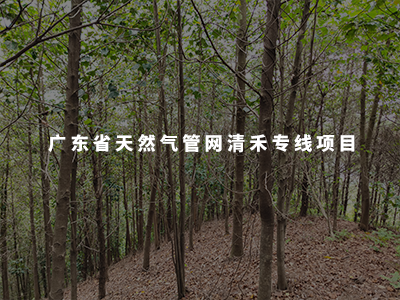 廣東省天然氣管網(wǎng)清禾專線項(xiàng)目